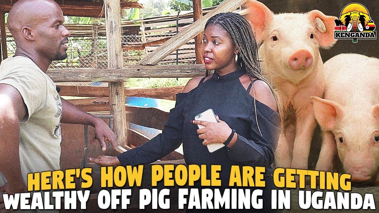 How Mixed Pig Farming Is Creating Wealth in East Africa ( Sempebwa Mixed Farm)