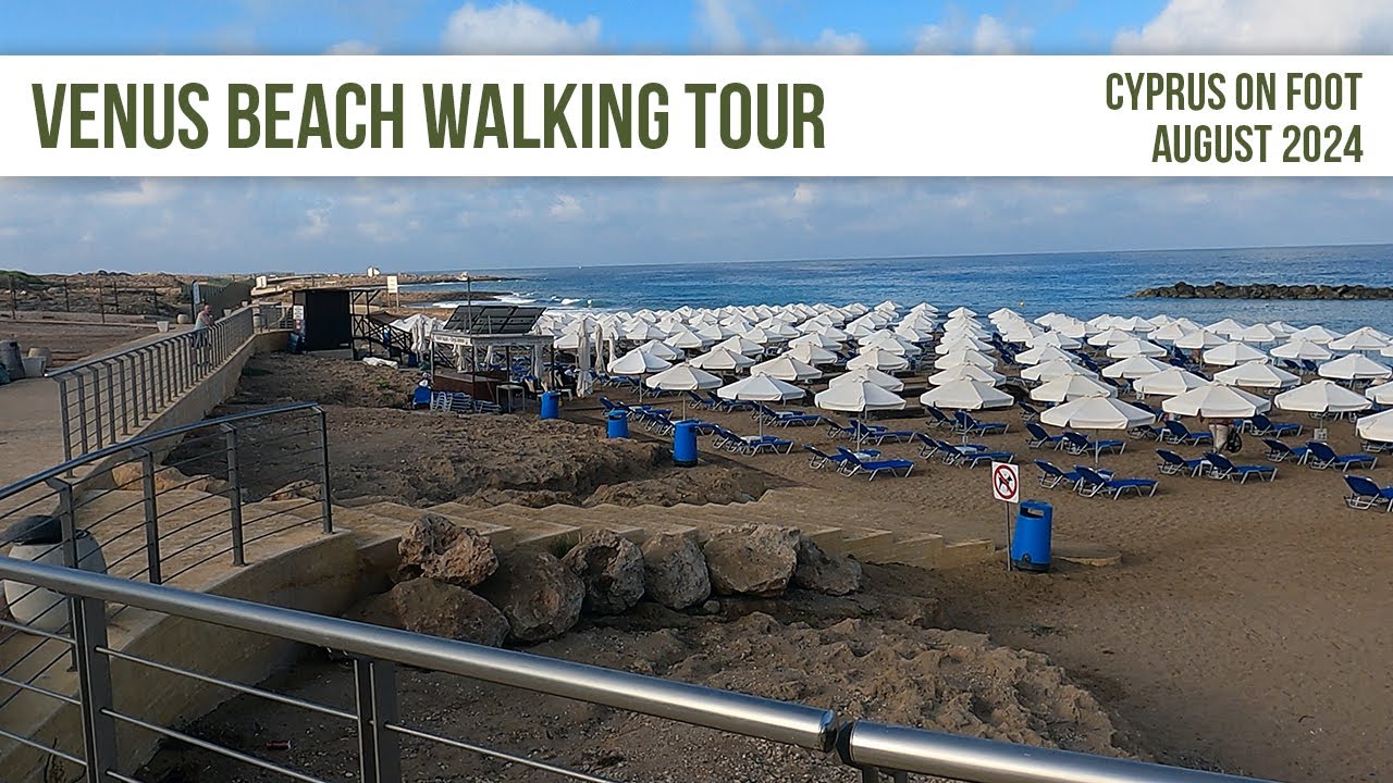Venus Beach Walking Tour