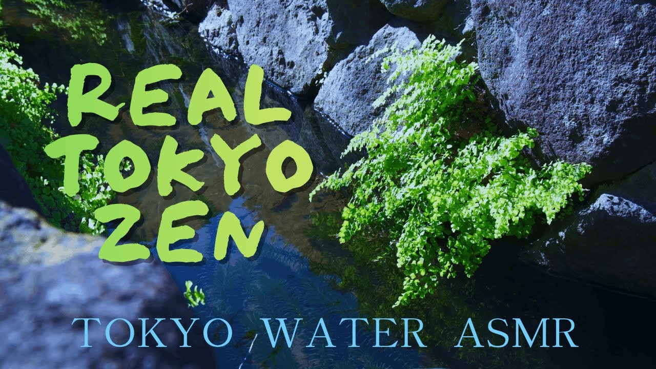 Real Tokyo Life: Peaceful Waterway in a Quiet Neighborhood [4K ASMR]