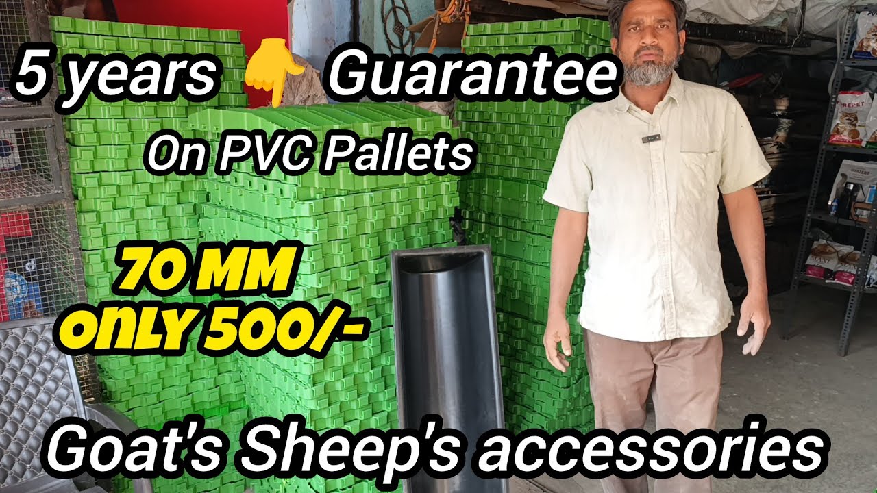 5 years guarantee on PVC Pallets first time in Hyderabad || Shafi bhai ki feed shop Hyderabad 