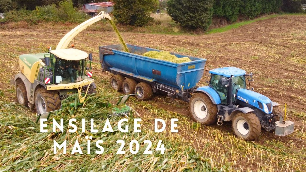 Ensilage de maïs 2024