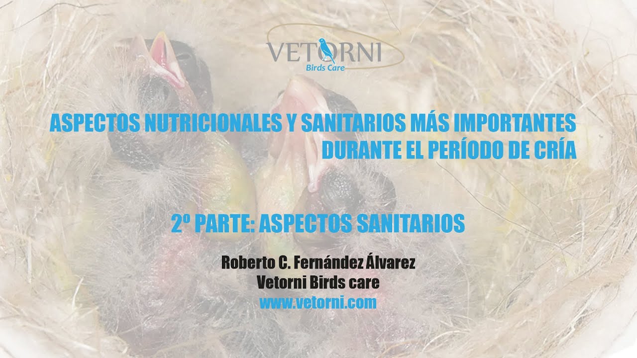 2PARTE: ASPECTOS SANITARIOS  MAS IMPORTANTES DURANTE EL PERÍODO DE CRÍA