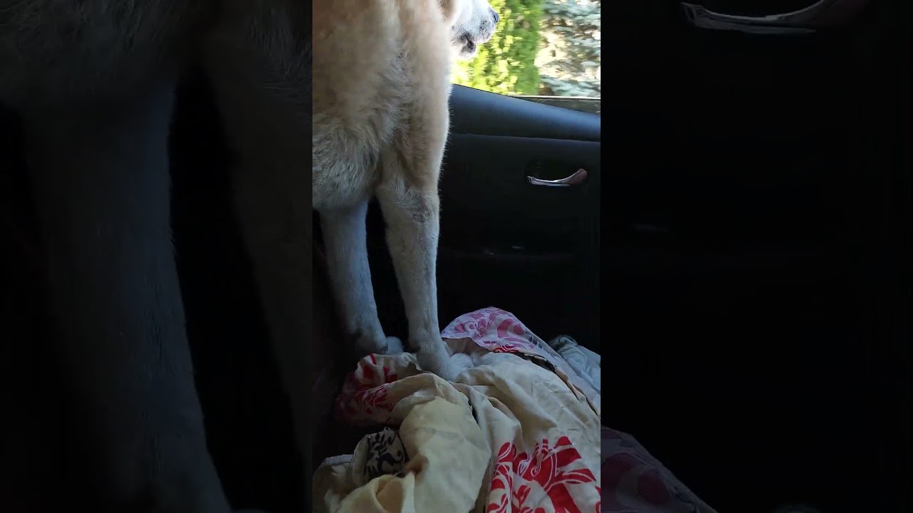 Скоро школа с фаро 😵&zwj;💫😵&zwj;💫😵&zwj;💫