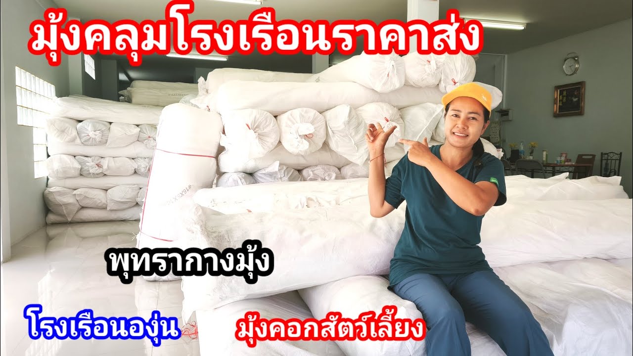 มุ้งกางโรงเรือนราคาส่ง!! จากโกดังอุบลราชธานี ใช้คลุมโรงเรือนพุทรา โรงเรือนองุ่น และคอกสัตว์