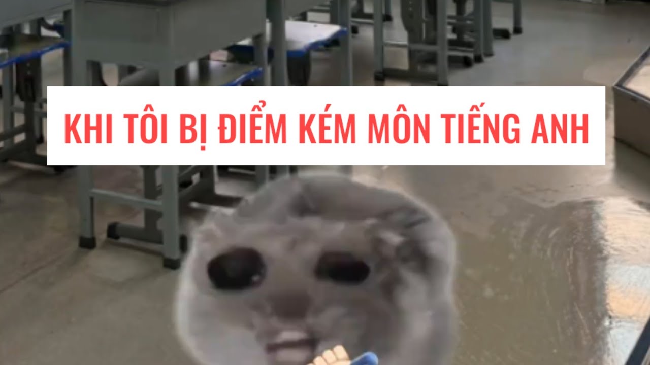 Khi tôi bị ĐIỂM KÉM môn tiếng anh