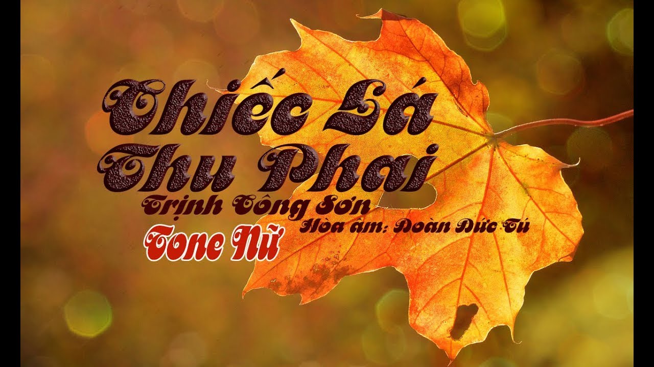 karaoke Chiếc Lá Thu Phai |tone Nữ|🎤