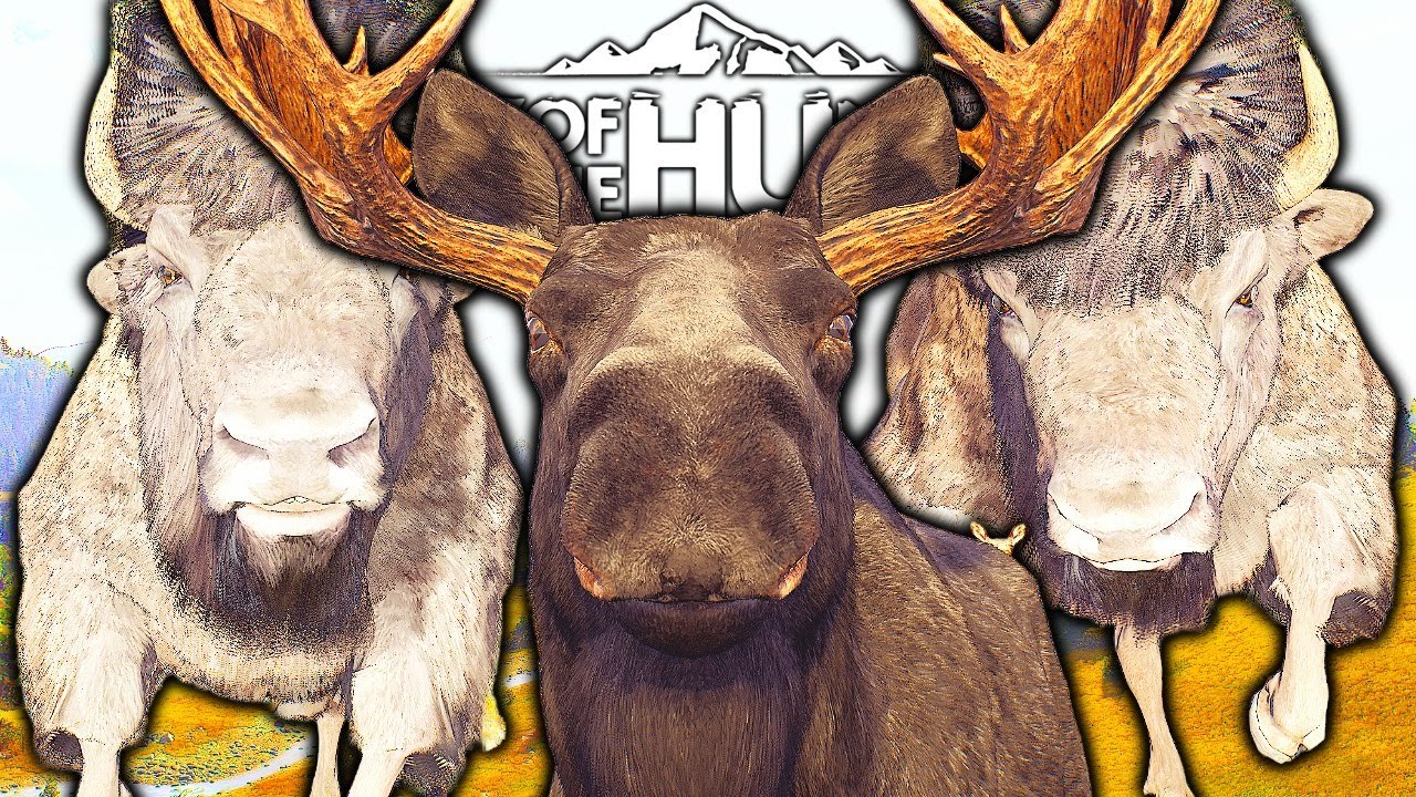 Aging A Melanistic Moose And Harvesting Two Five Star Bison! | Way of the Hunter