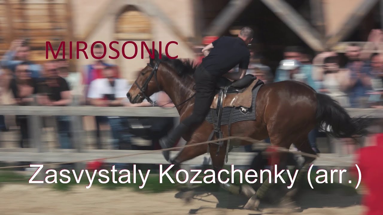 Mirosonic ~ Zasvystaly Kozachenky (Ukrainian) EDM/Techno arrangement (re-mastered)