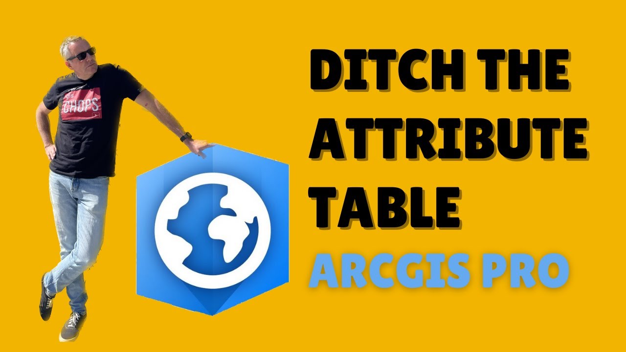 Edit Attributes the Easy Way in ArcGIS Pro