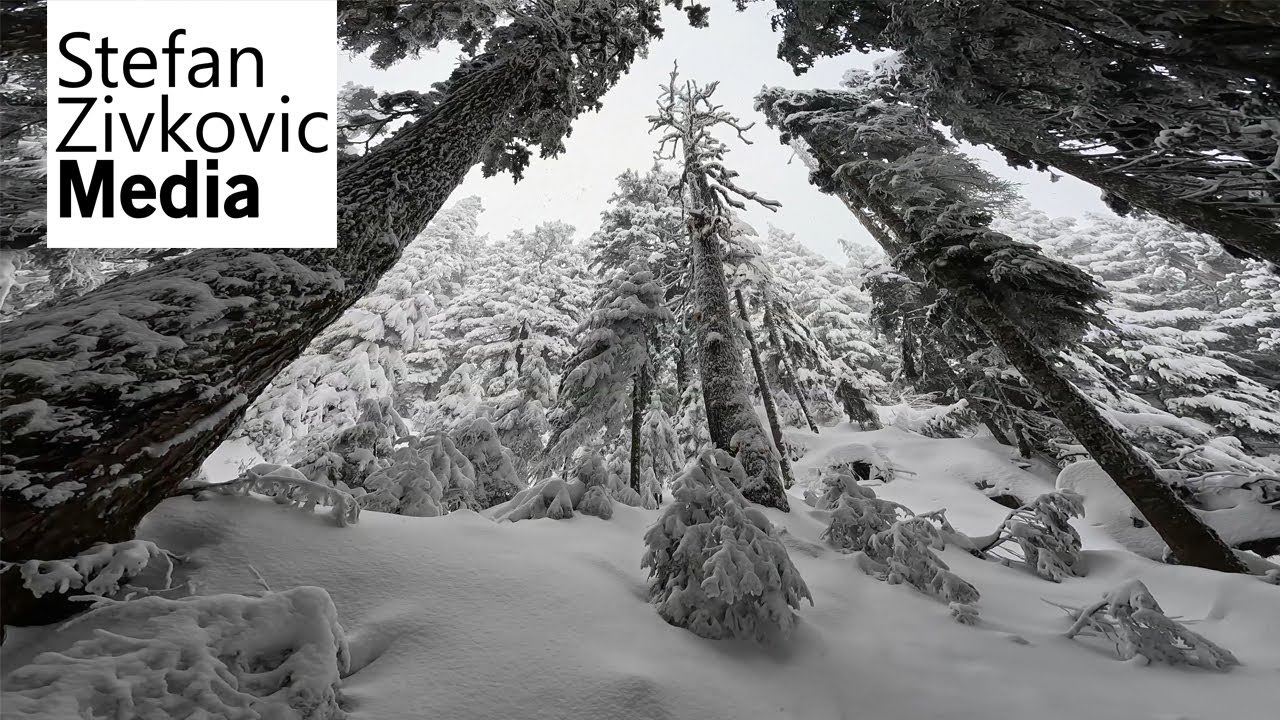 Quiet Grouse Mountain Pow Day | SZM