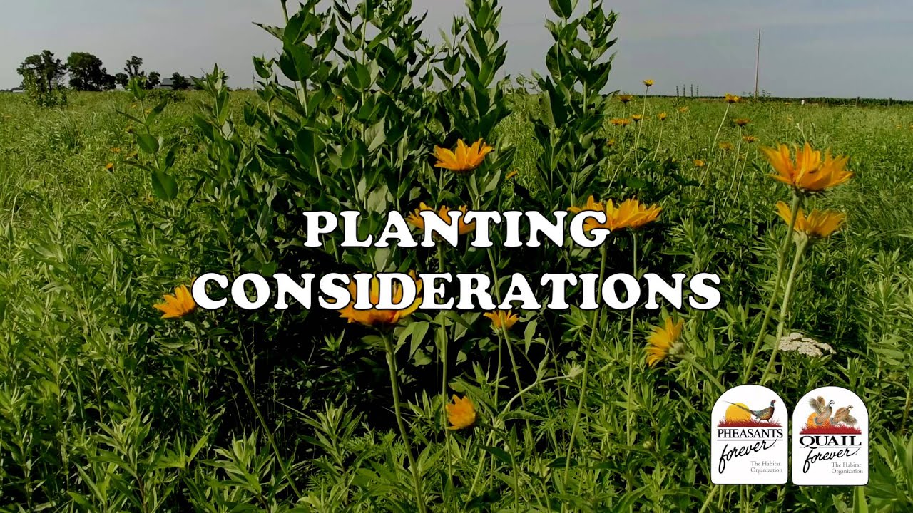 The Foundation of Habitat Success