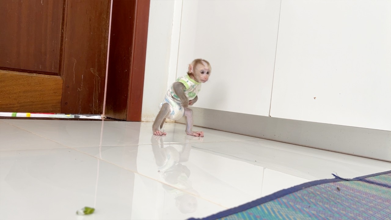 Tiny Baby Tauch Happily Playing Near Mom Cooking Food