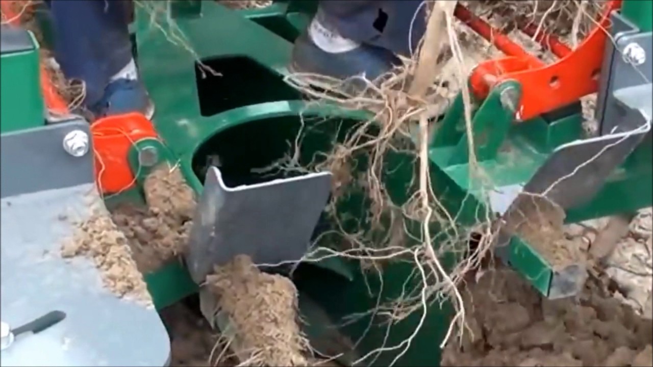 planteuse pépinière Roussel Agri