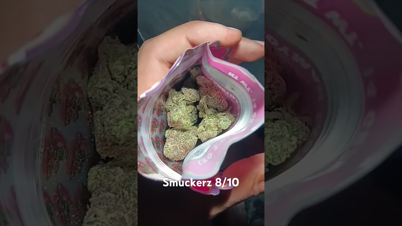 Cali plug bud 8/10 Smuckerz Strain Review