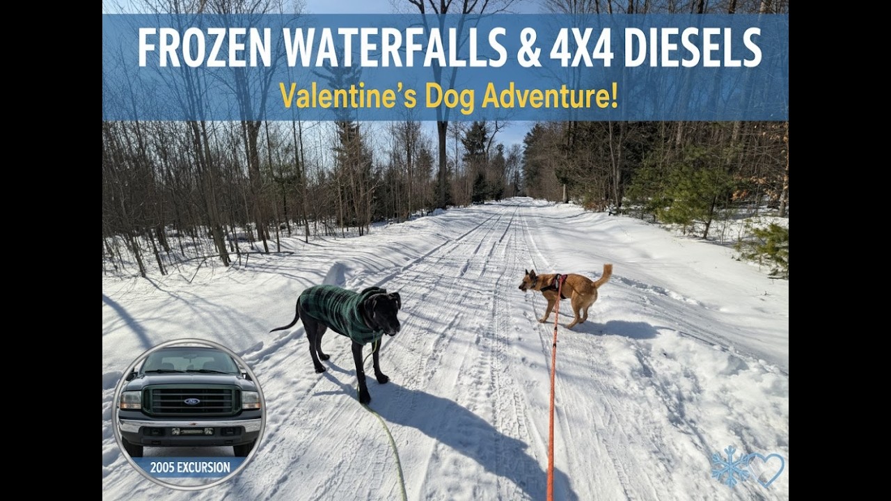 Frozen Waterfalls & 4x4 Diesels: A Valentine's Dog Adventure!