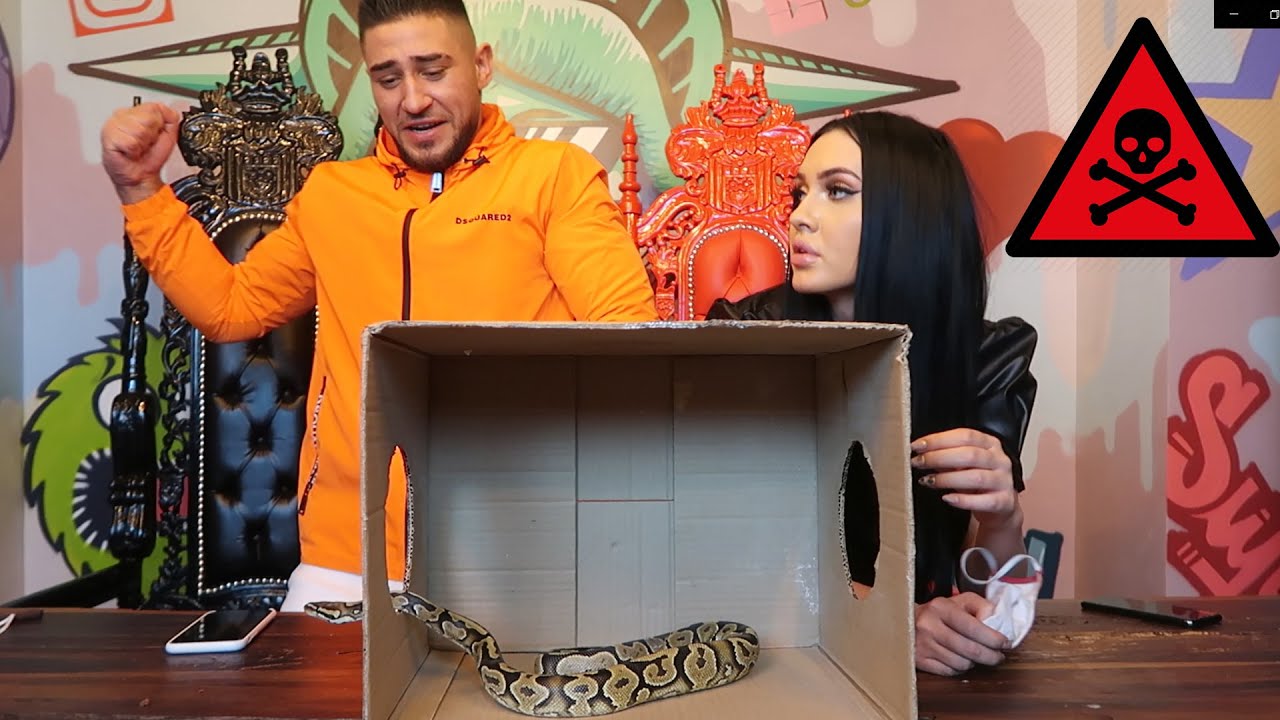 CE SE AFLA IN CUTIE? CU MOCANU SI BIANCA *L-A MUSCAT SARPELE?*