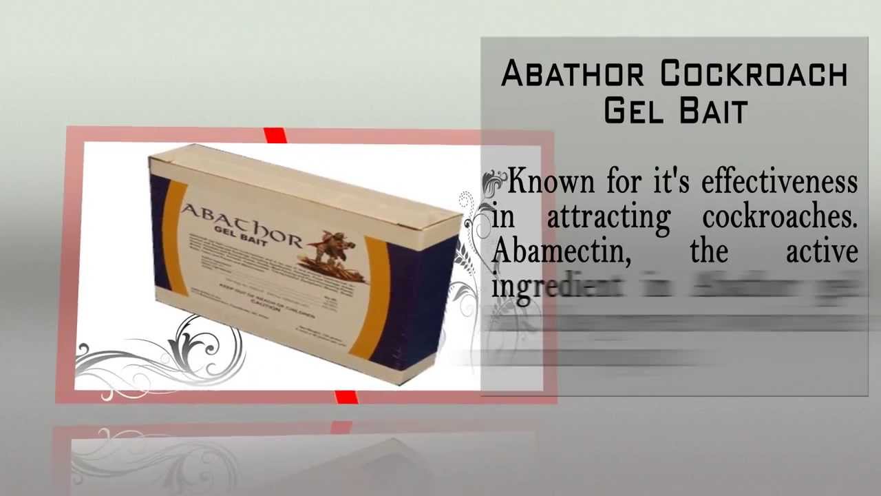 Cockroach Control Products
