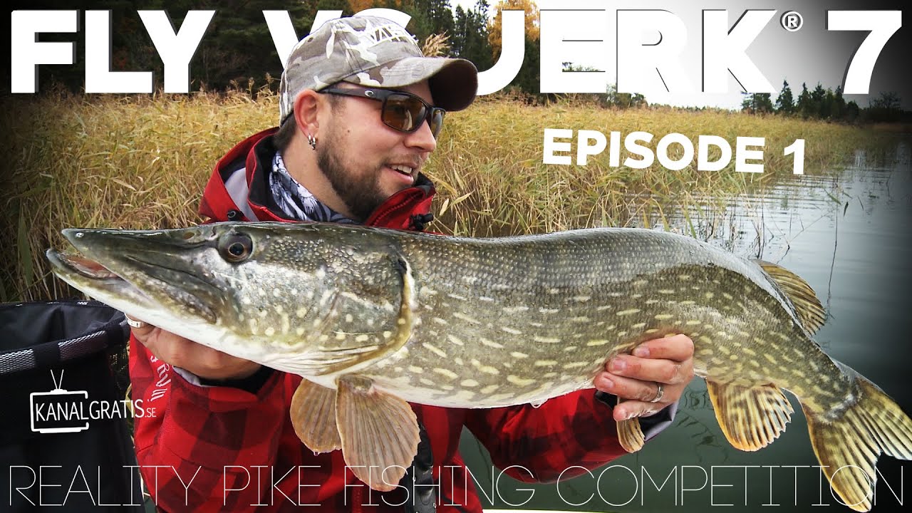 Fly vs Jerk 7 - EPISODE 1 - Kanalgratis.se