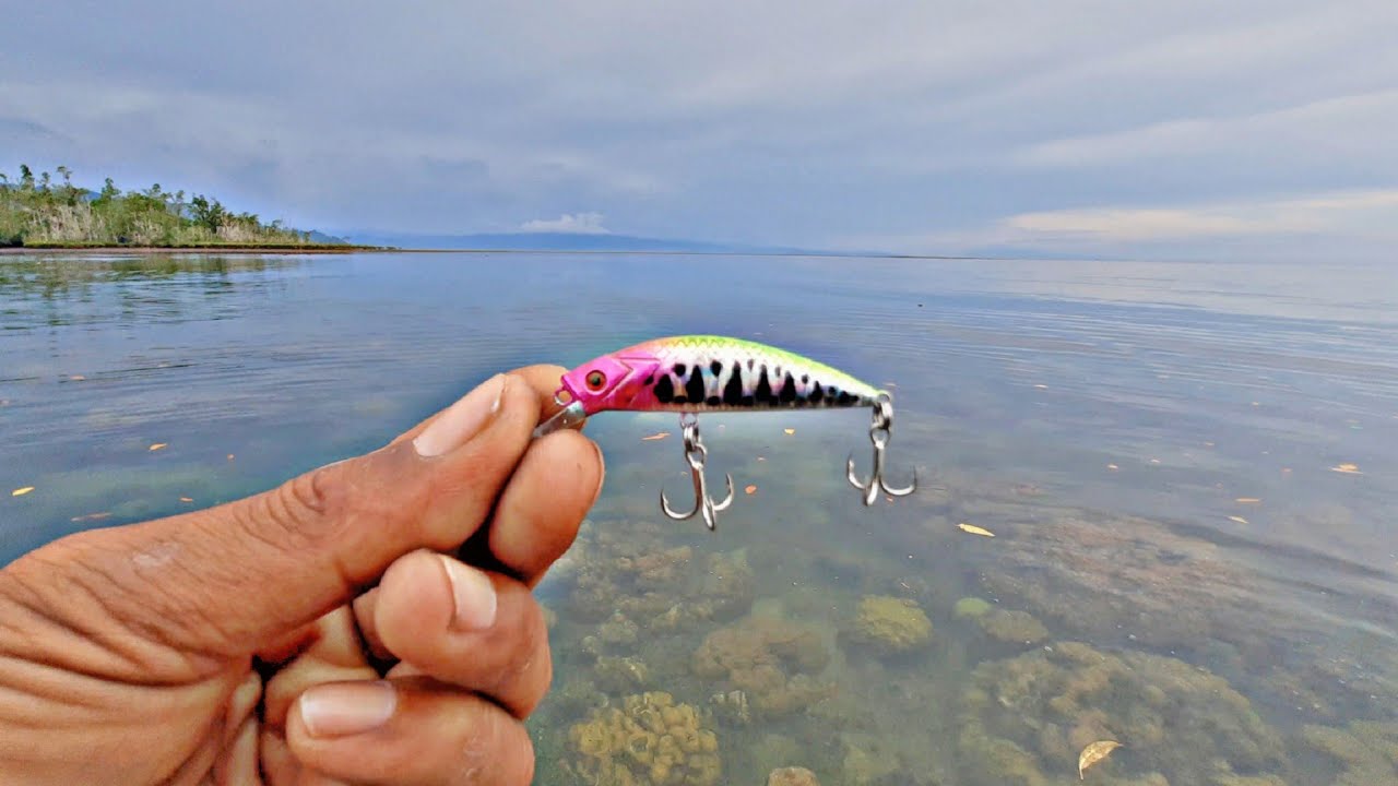 Gacor Mancing Casting Karang Dangkal || Cukup Dengan Satu Minow