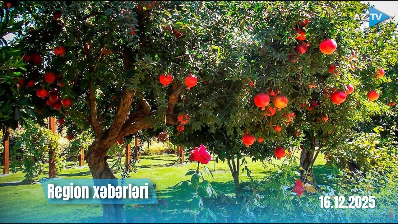 Region xəbərləri &ndash; 16.12.2025