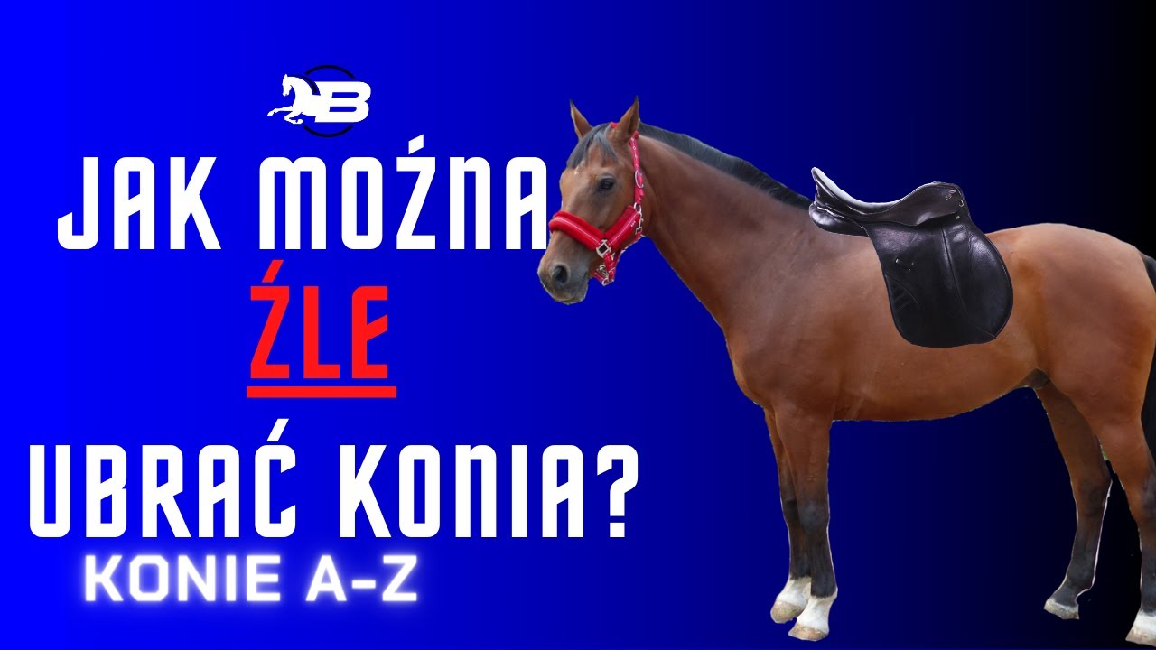 Siodłanie konia | Konie A - Z | Jak ubrać konia prawidłowo? Największe błędy przy siodłaniu.
