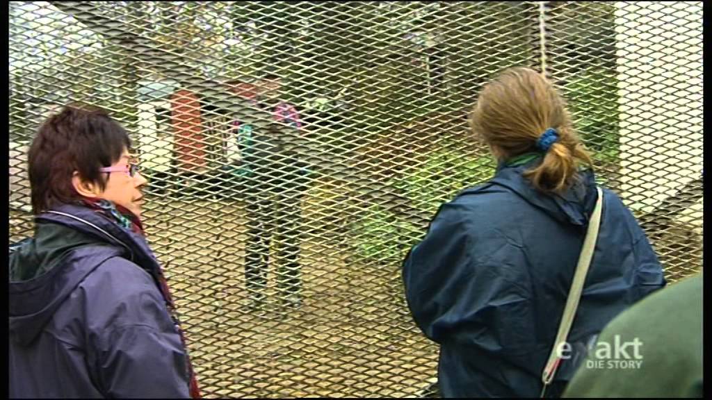 Exakt -  Animal Hoarding Teil2