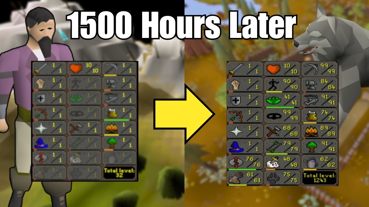 Full Series - Level 3 HCIM Skiller: 1500 Hour Journey (So far.)