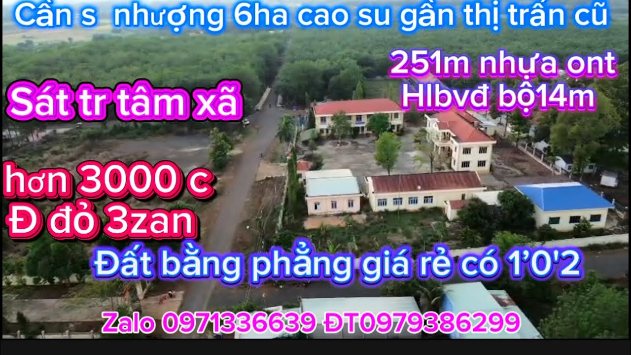 số 1452,đ bắc 6 ha cao su cạo ,251mét nhựa đất qhthổ cư ngay trung xã giá rẻ bất ngờ 220,tr /1sào 