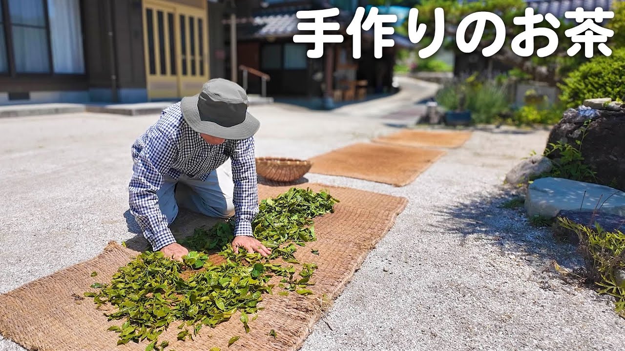 初夏の恵み！夫婦でお茶の葉を摘んで干してみました【山口県】
