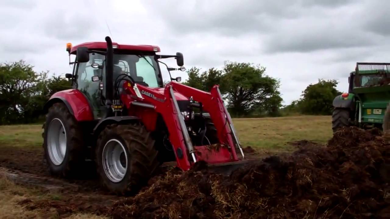 LammaXchange: Case IH Maxxum 130CVX with Stoll LRZ130 loader