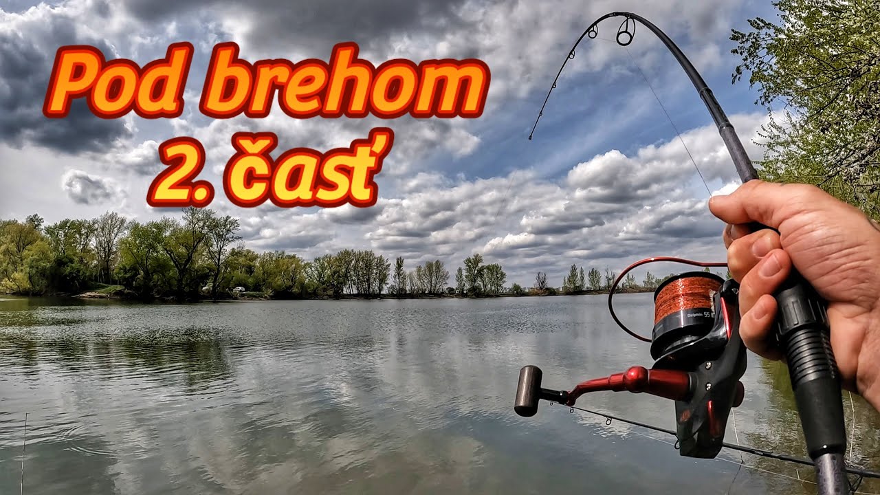 Ako ulovit kapra 2m od brehu 2 časť 🍀 #carpfishing #delphin #fishing