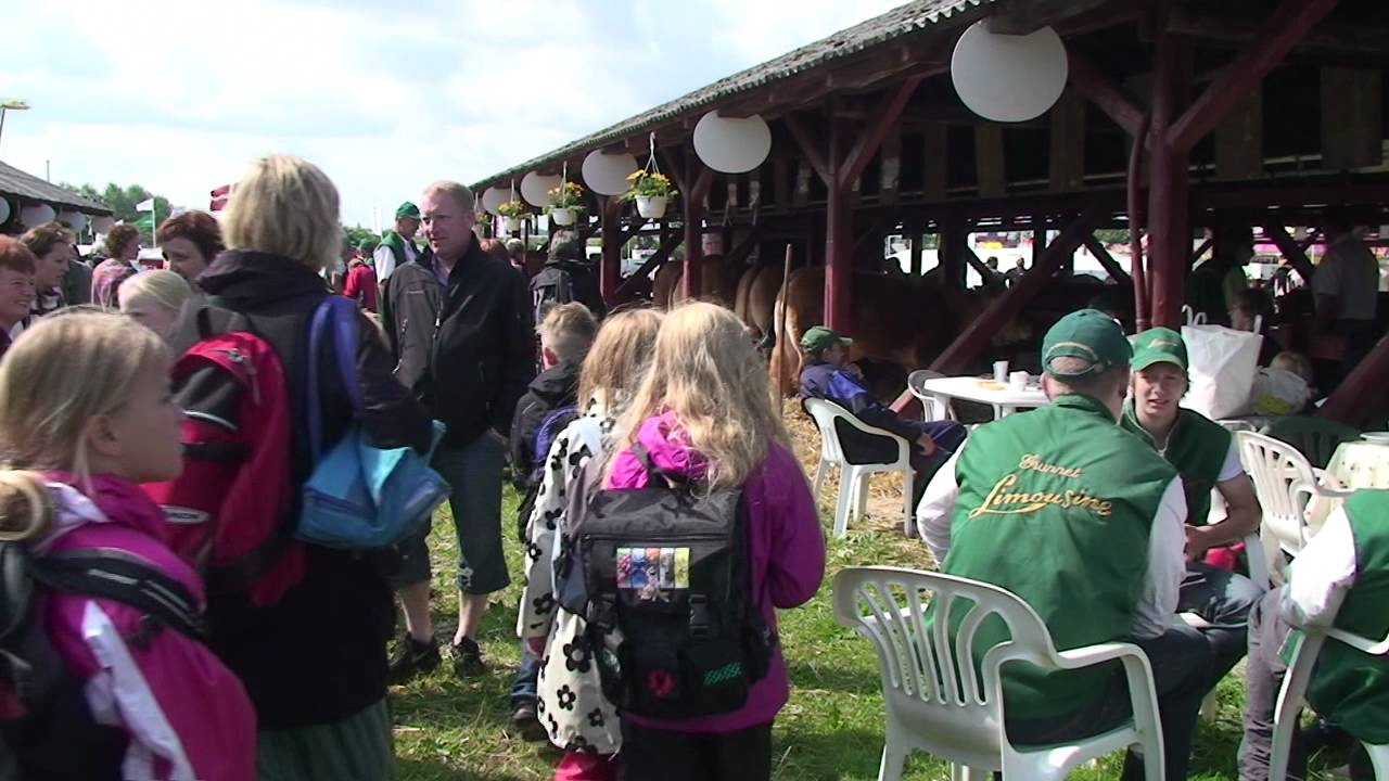 TV Horsens - Dyrskue 2011