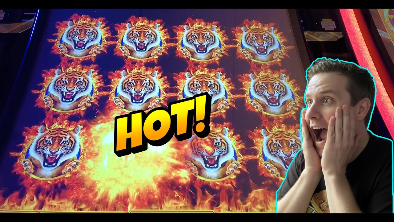 🚨🚨 This was a HOT Triple Supreme Xtreme Machine slot and Fa Fa Fa Blessings! #slot #gamblinggame