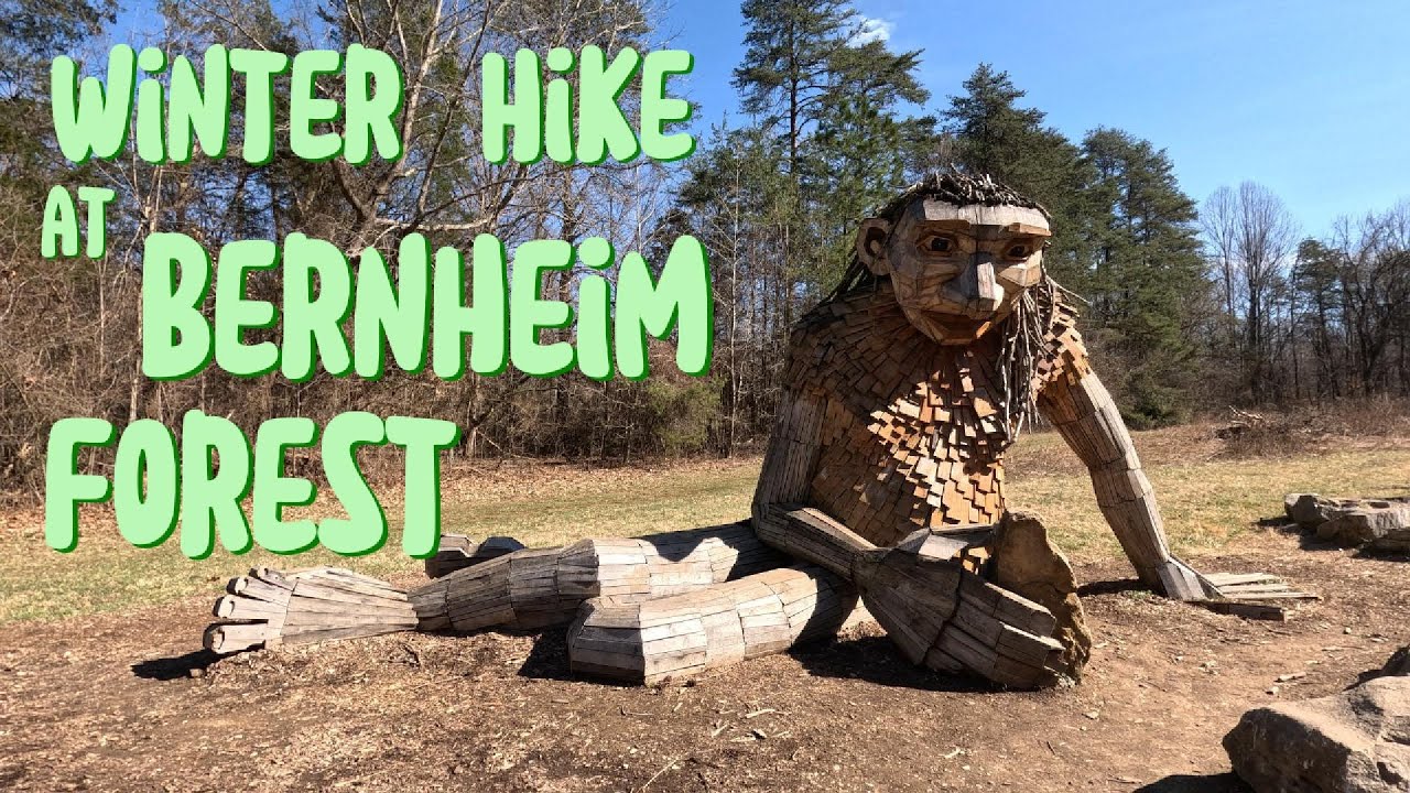 Bernheim Forest for a Winter Hike