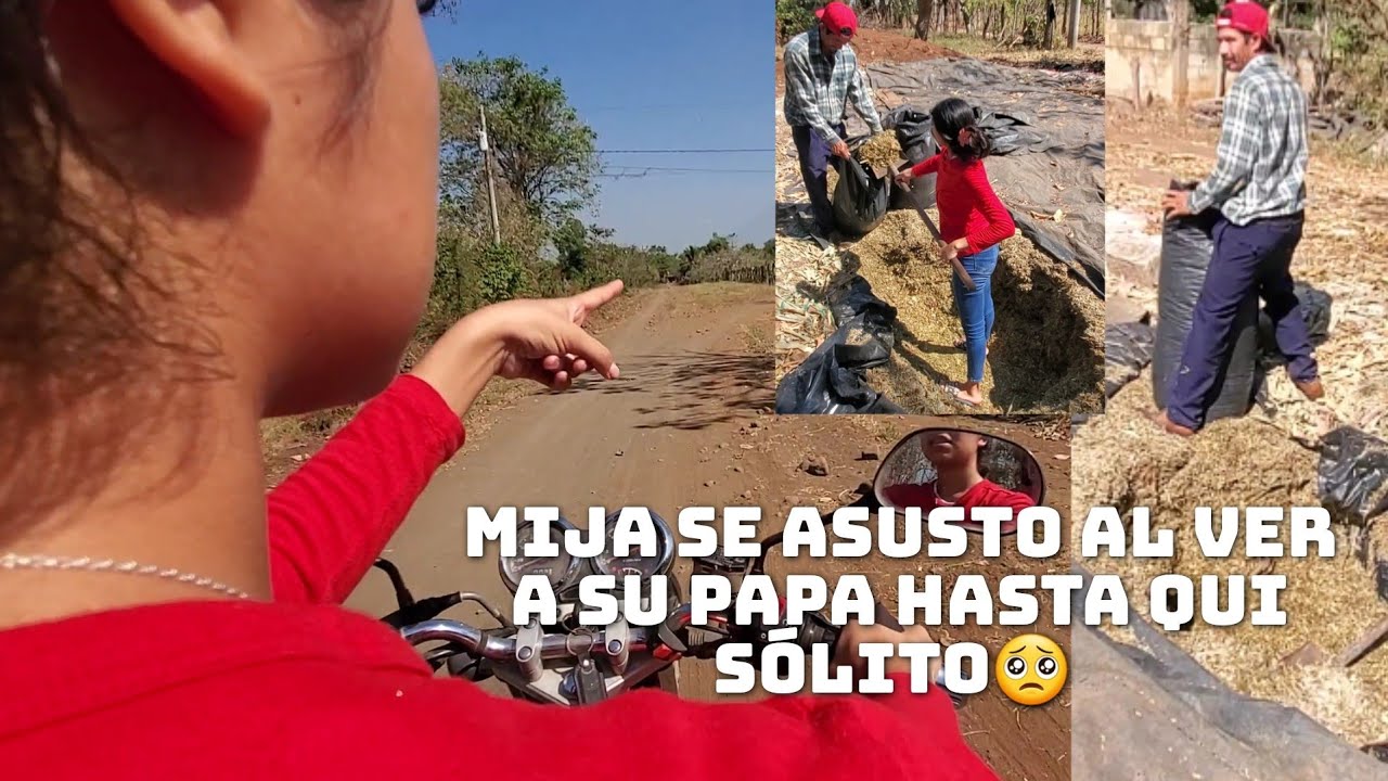Desde Q Llegamos Le Quito La Pala Y 3mpezo Ayudarle🥰A Llenar Las Bolsas De Silo 🤗