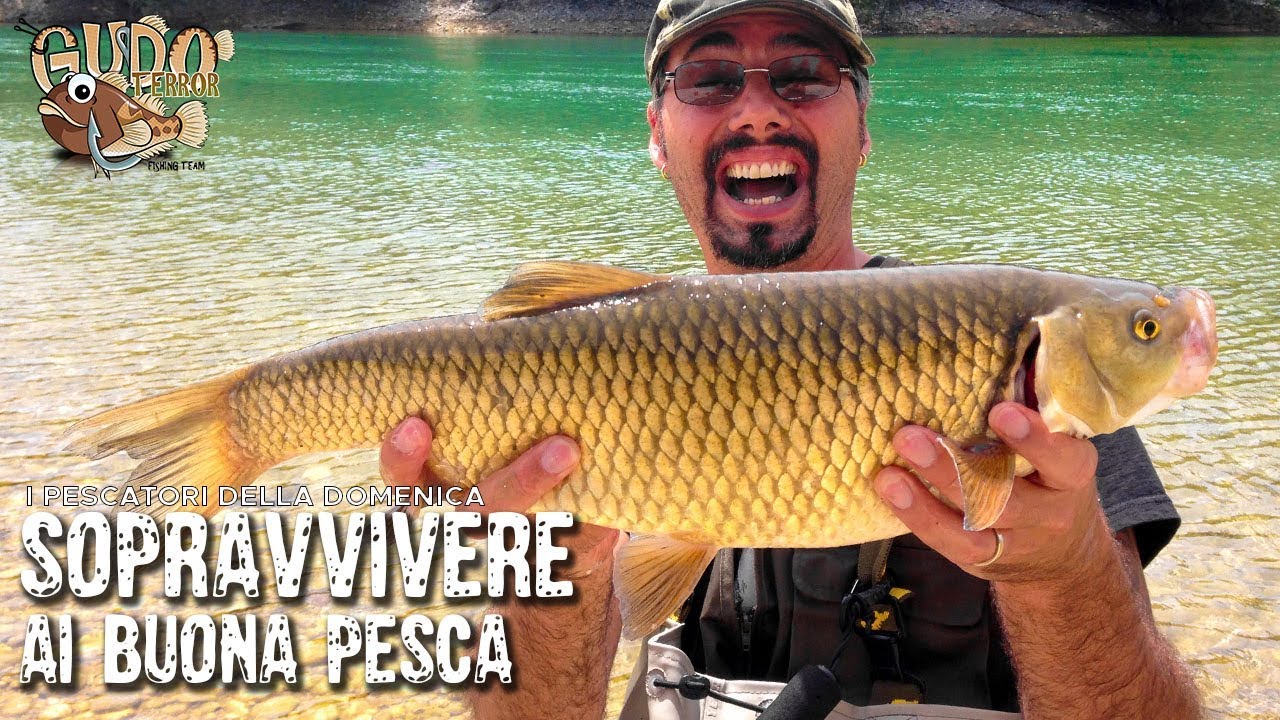 2#6 Cavedani mostruosi a bognese in passata