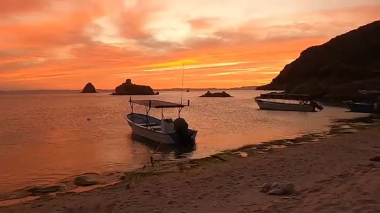 Baja Mexico Wildlife & Culture tour- 2020