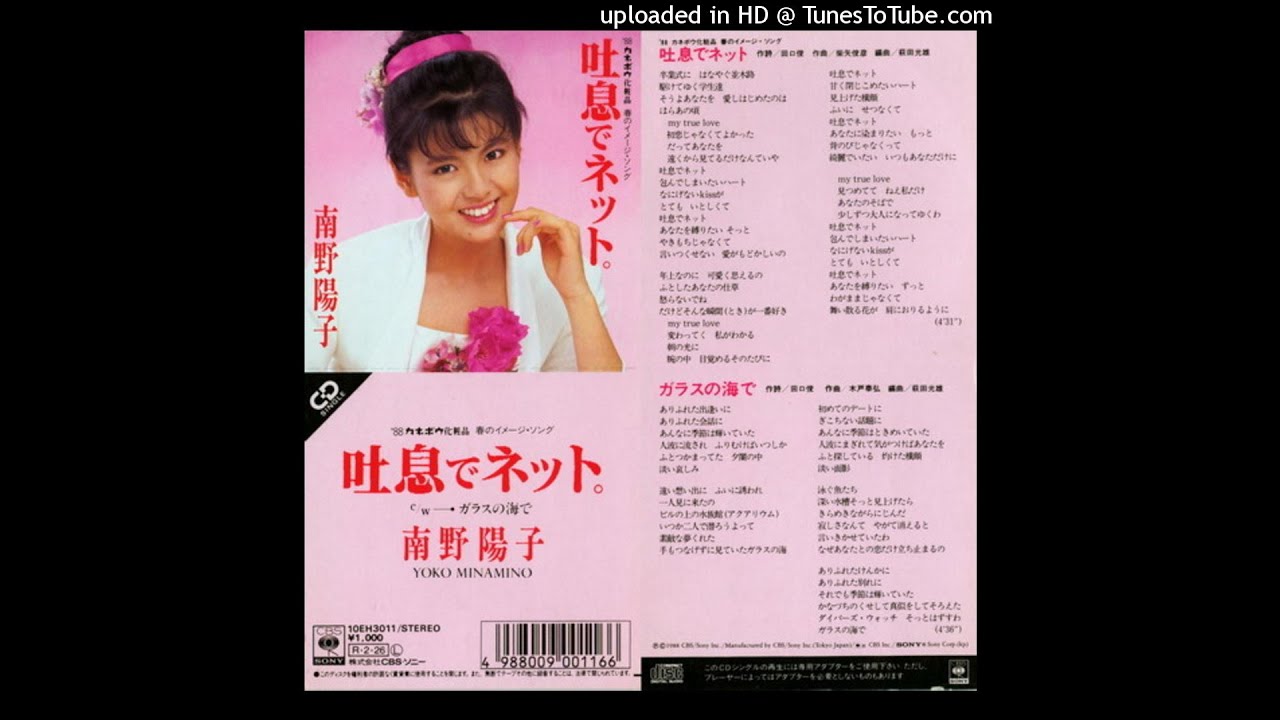 南野陽子 - ガラスの海で
