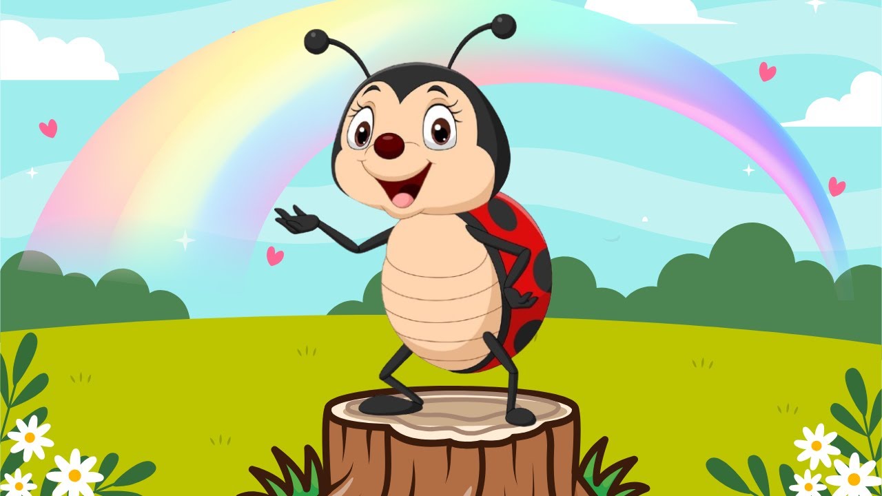Ladybug