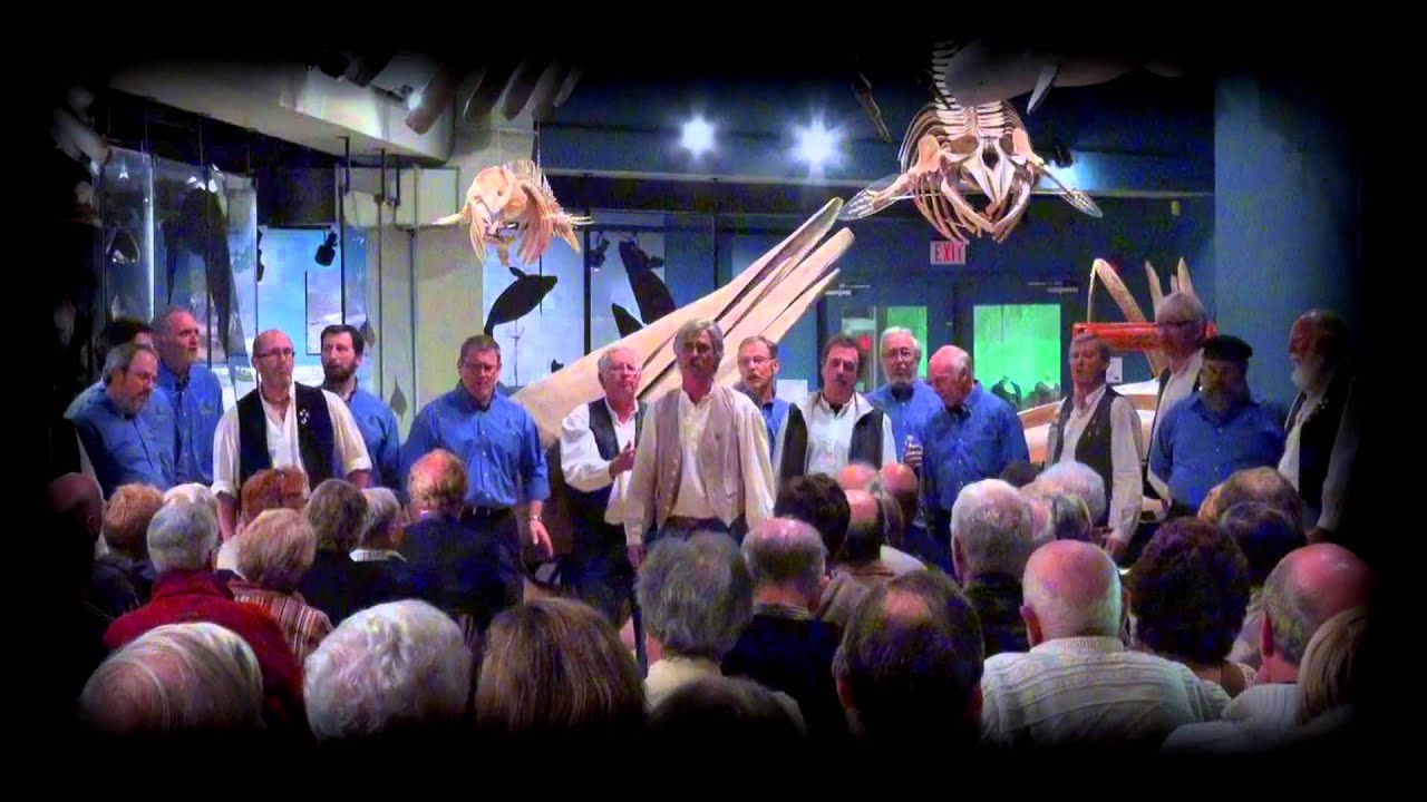Bully In The Alley  sea shanty