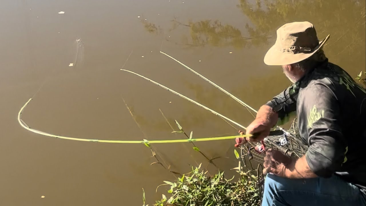 Anzol autom&aacute;tico parado t&eacute;cnica infal&iacute;vel. pesca sem isca