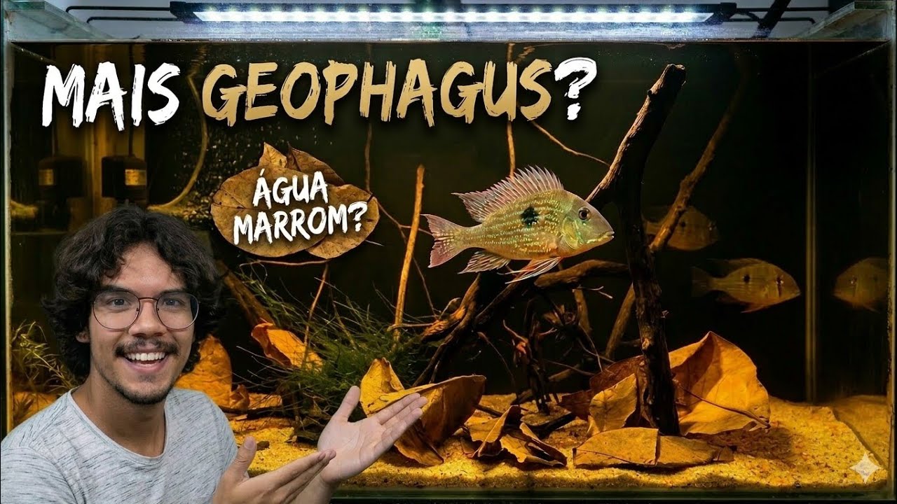 PEIXES NOVOS! Chegaram Heckelii e Sveni + Tanino Natural nos Aquários