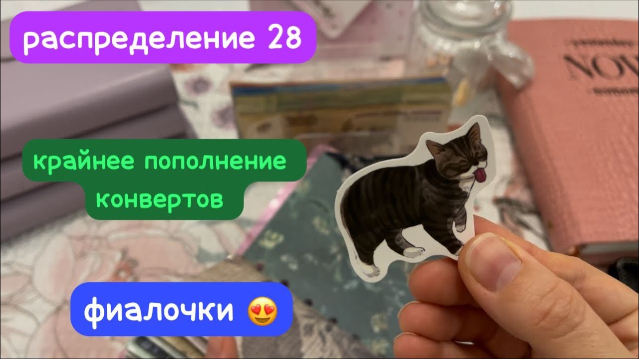 Крайнее распределение 2025 года 🥳 вид из окна 🪟 цветочечки 😍