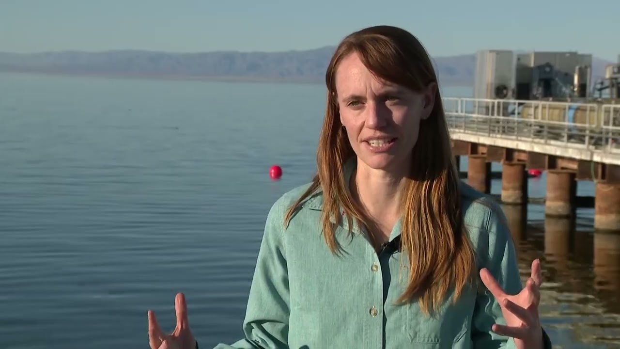 SALTON SEA HABITAT