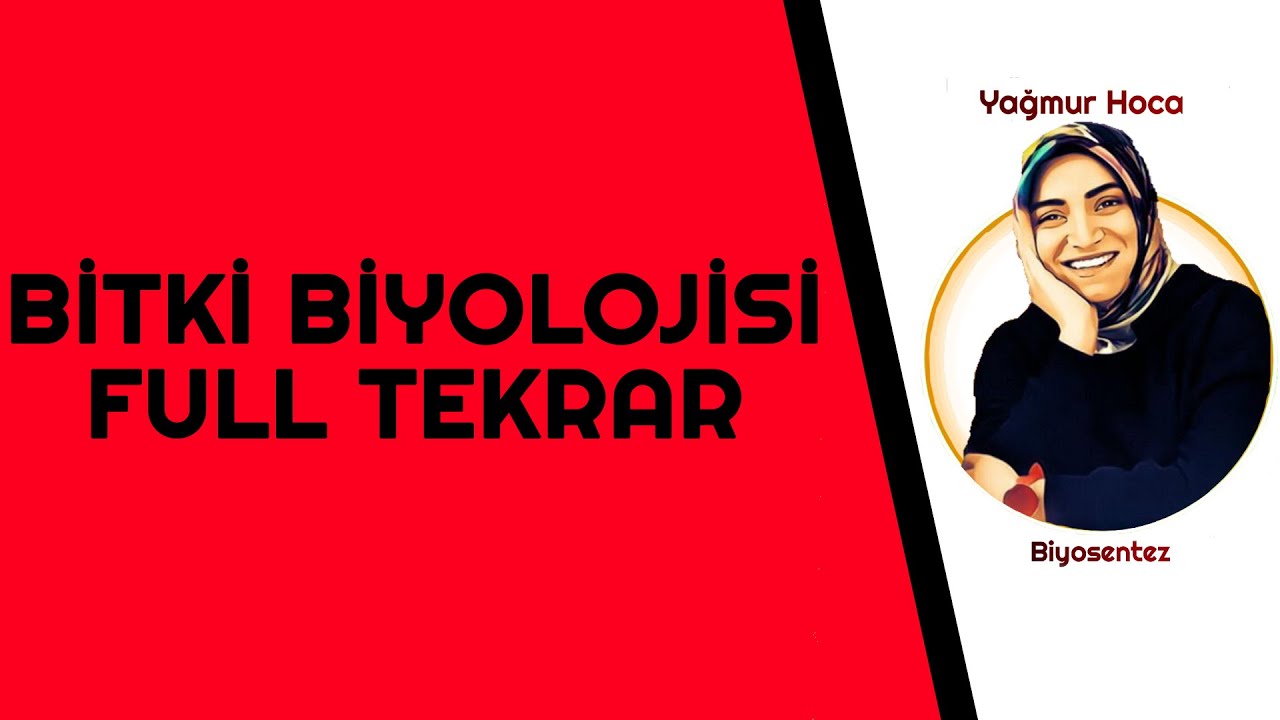 BİTKİ BİYOLOJİSİ FULLETEN FULL TEKRAR - 2 SAATTE BİTKİ BİYOLOJİSİNİ BİTİRİYORUZ...
