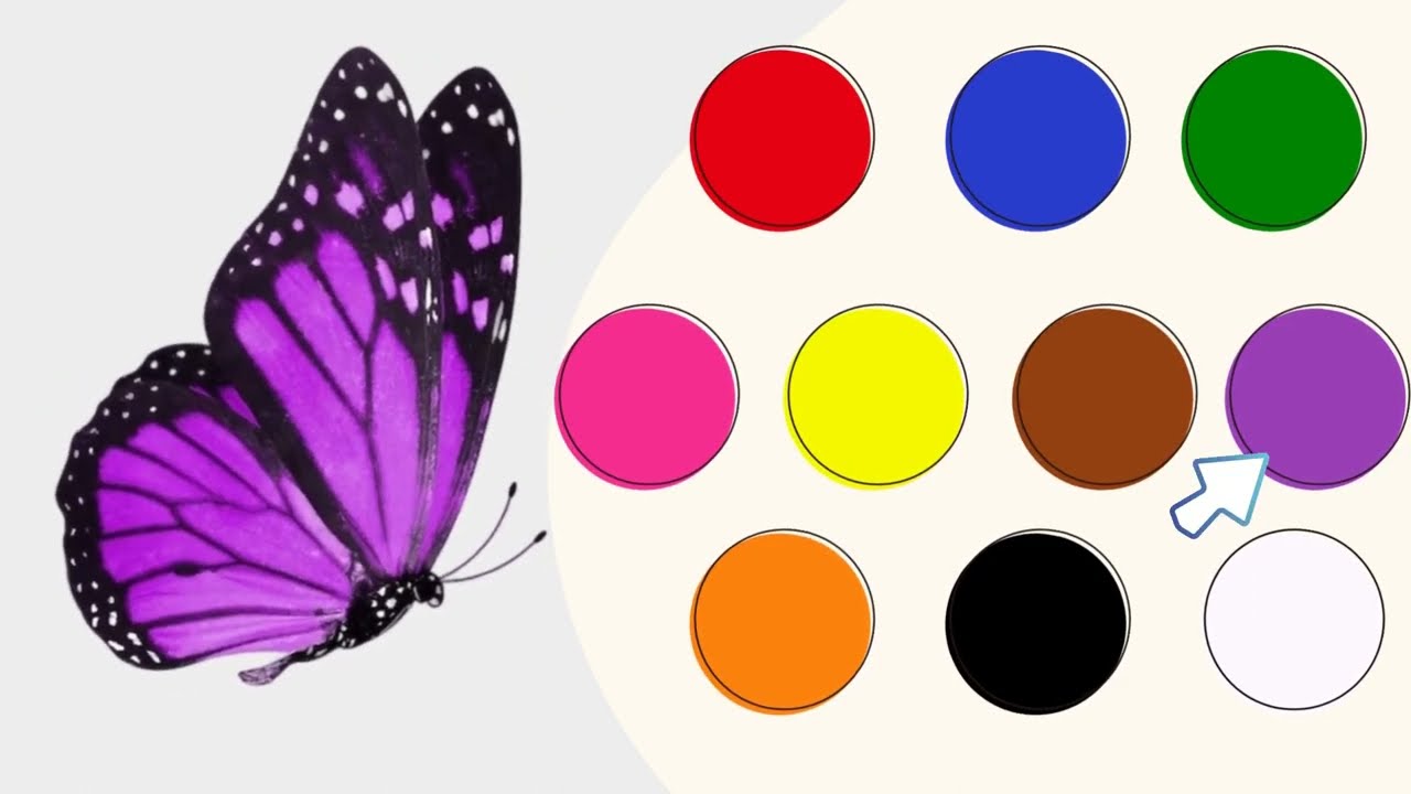 Learn Colors with Objects for Kids🌈 | Fun Color Identification for Kids| Color Recognition🎨