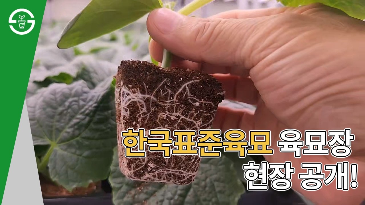 육묘장 현장 공개! NJ바이오 식물연구소가 방문한 한국표준육묘