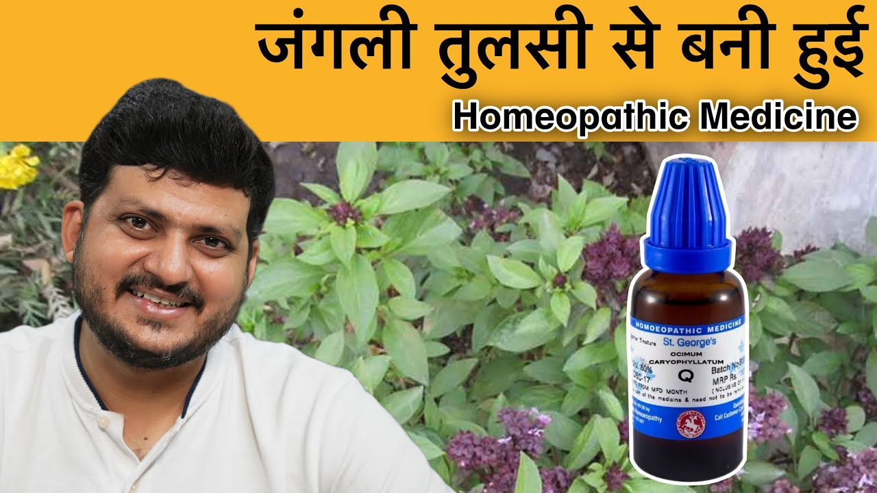Ocimum Caryophyllatum | जंगली तुलसी | Homeopathic Medicine | Symptoms | How to use |