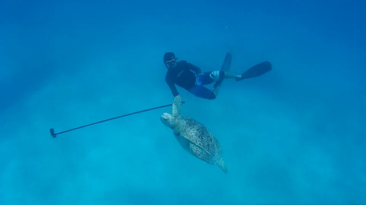 INCREDIBLE Snorkelling Half Day Trip at the Perhentian Islands - Malaysia