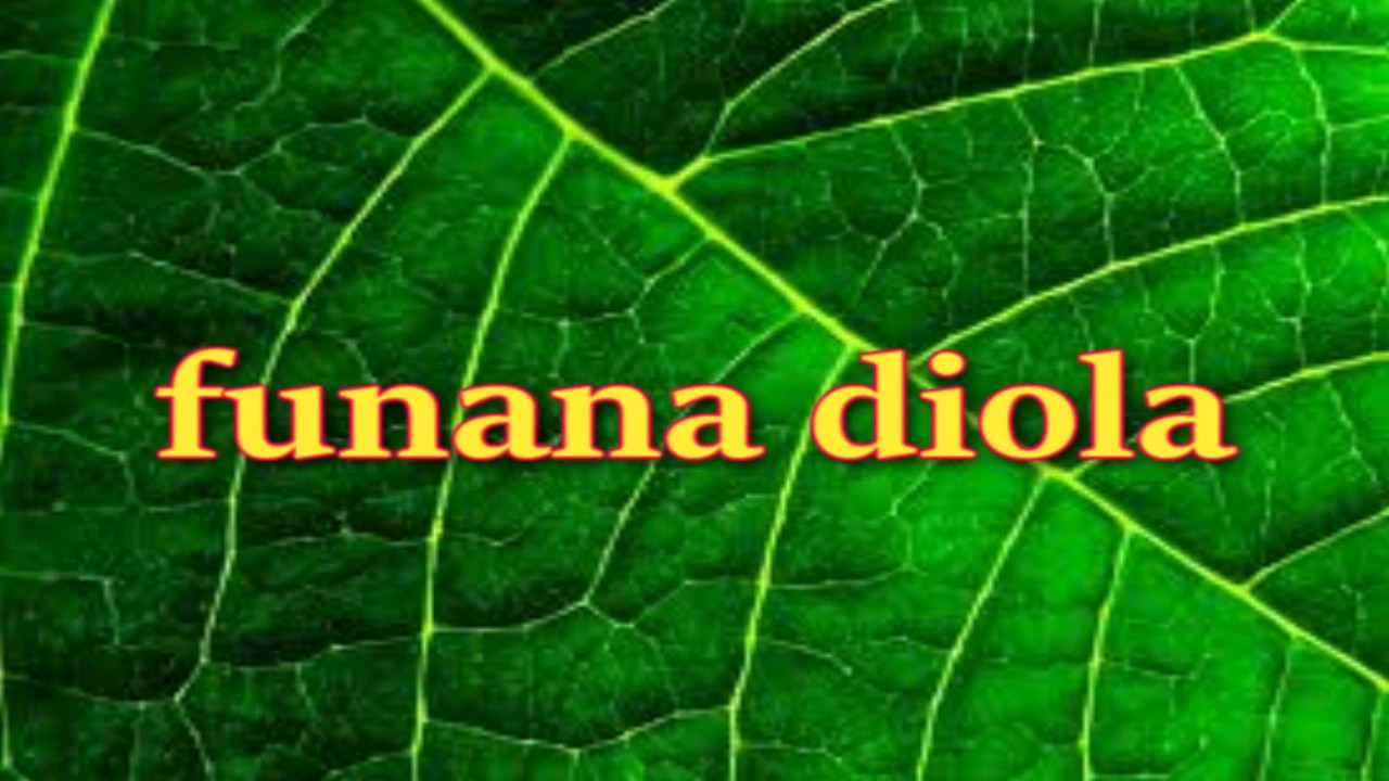 FUNANA DIOLA 